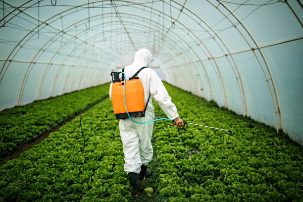 Best Pest Control Near Me in North Great River, NY