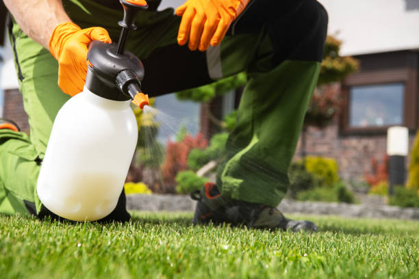 Best Termite Control Services  in North Great River, NY