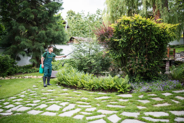 Professional Pest Control in North Great River, NY