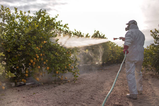 Best Pest Inspection Near Me  in North Great River, NY