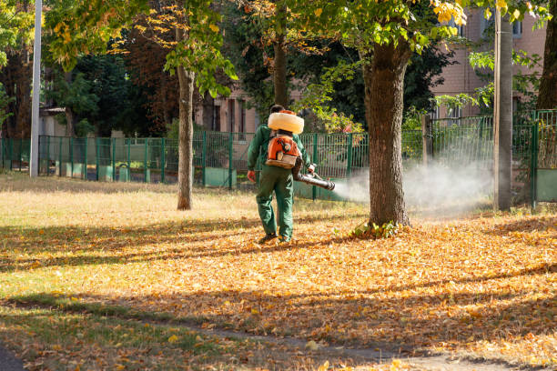 Wildlife Control Services in North Great River, NY