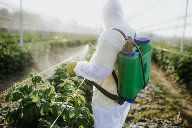 Best Flea Control Services  in North Great River, NY